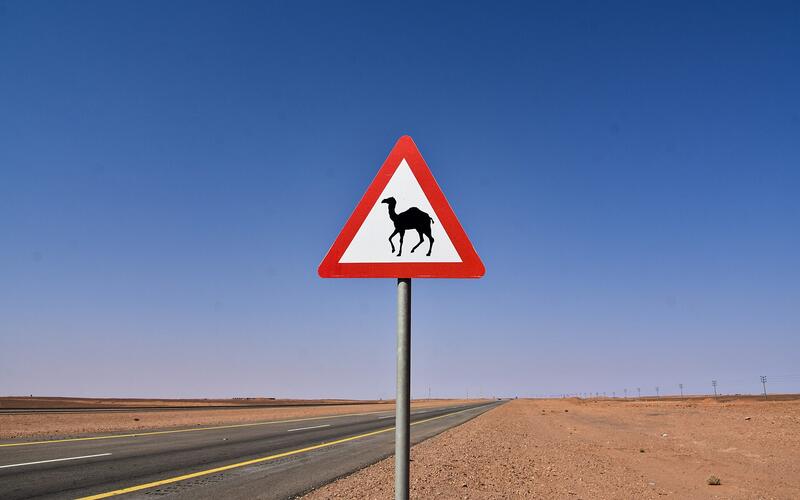 Verkeersbord dat waarschuwt voor kamelen langs een woestijnweg
