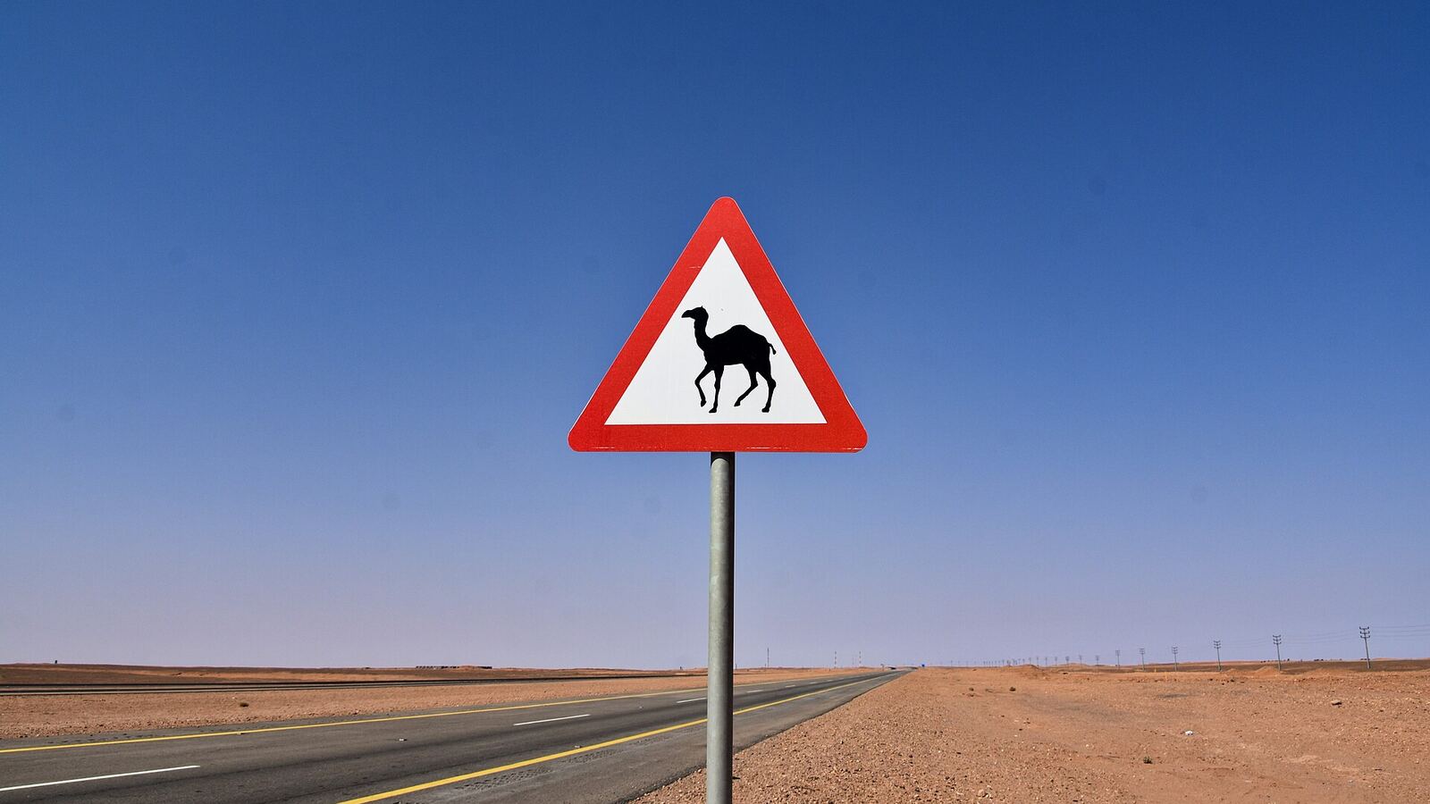Verkeersbord dat waarschuwt voor kamelen langs een woestijnweg